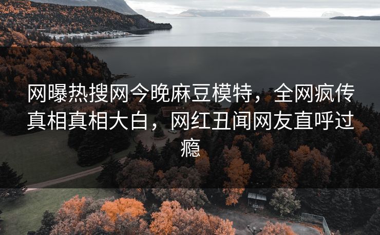 网曝热搜网今晚麻豆模特，全网疯传真相真相大白，网红丑闻网友直呼过瘾