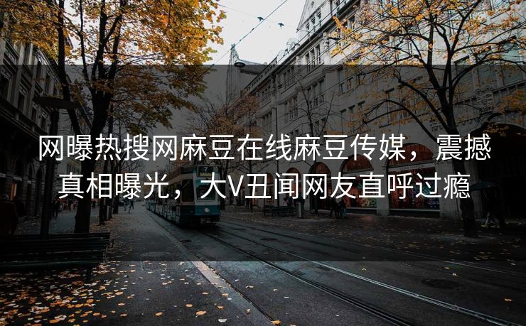 网曝热搜网麻豆在线麻豆传媒，震撼真相曝光，大V丑闻网友直呼过瘾