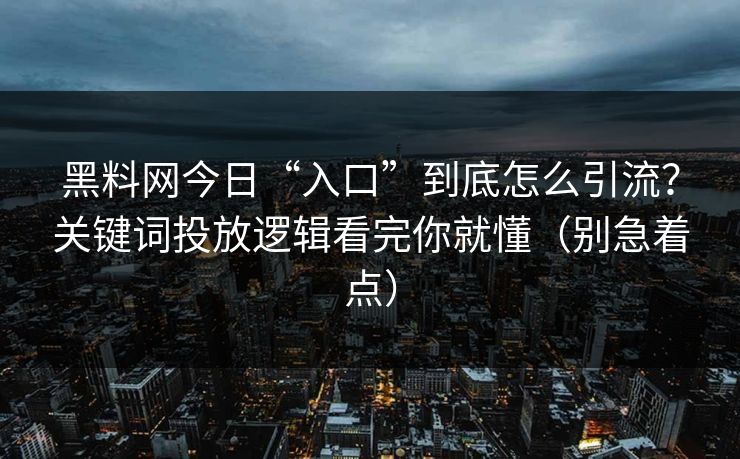 黑料网今日“入口”到底怎么引流？关键词投放逻辑看完你就懂（别急着点）