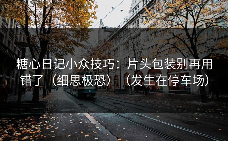 糖心日记小众技巧：片头包装别再用错了（细思极恐）（发生在停车场）